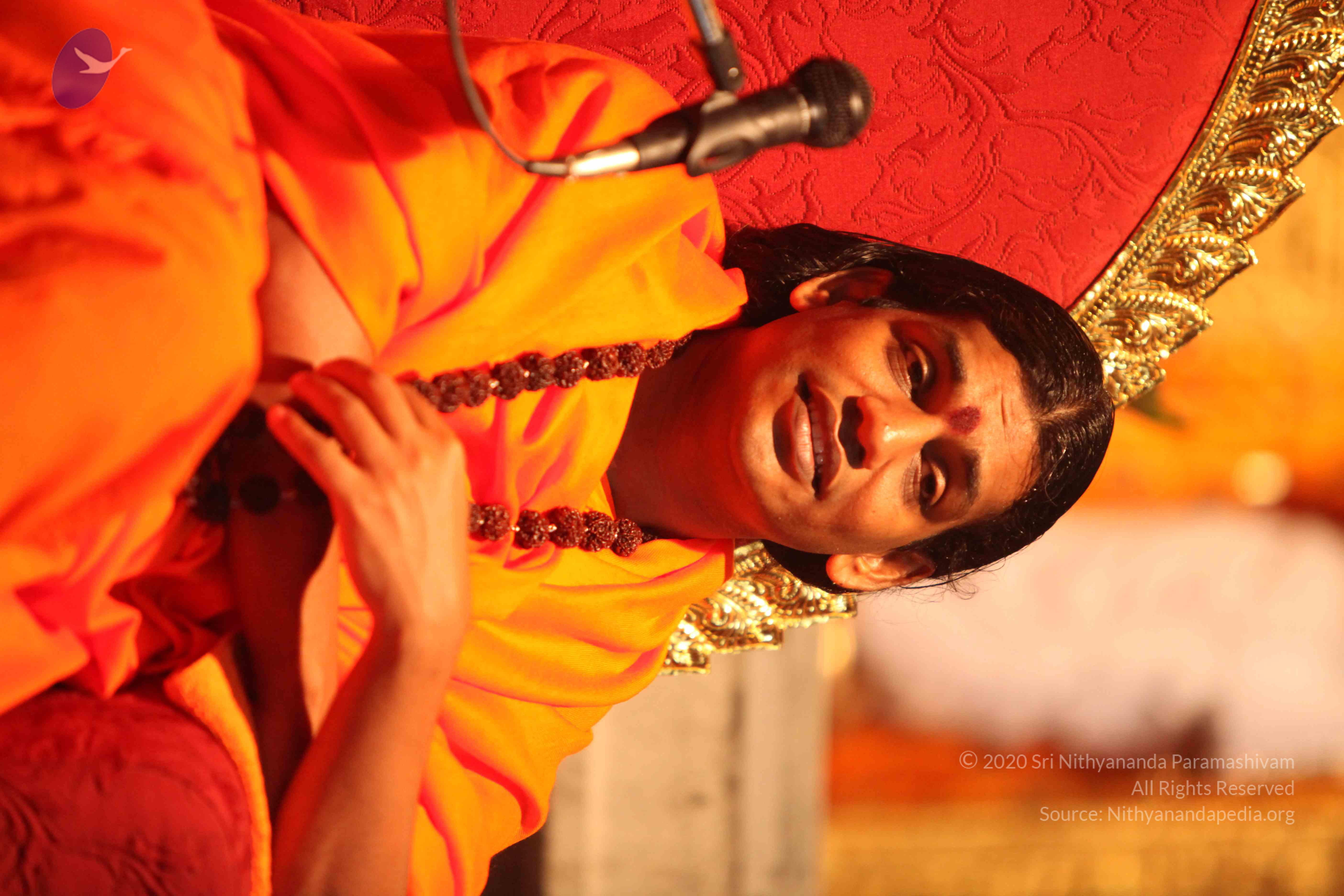 20110225_Photo_1002_IMG_1707_CMP_WM